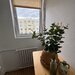Basarabia, Diham, vanzare garsoniera, locuit sau investitie